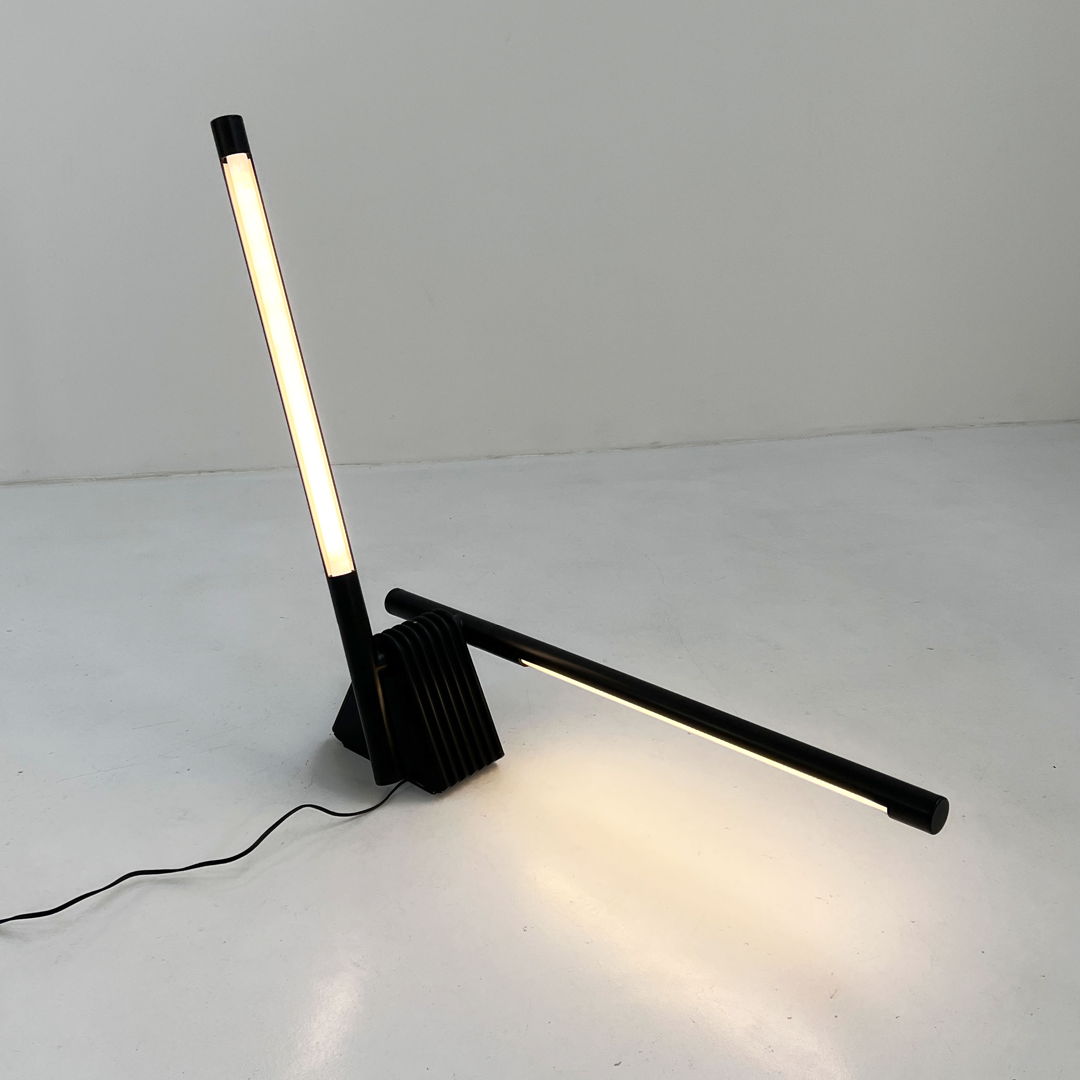 Sistema Flu Neon Table/Wall or Floor Lamp by Rodolfo Bonetto for Luci, 1980s