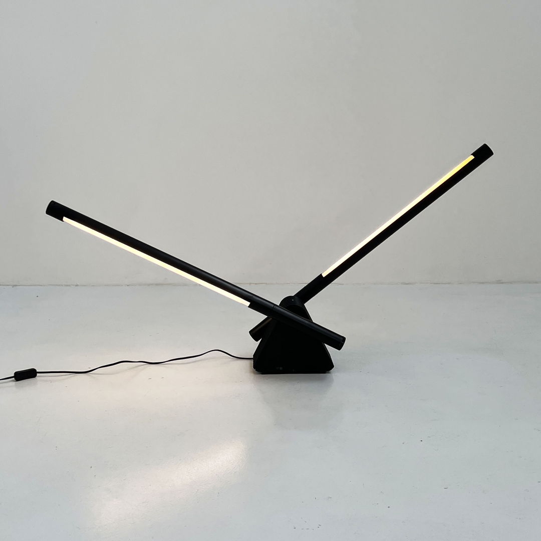 Sistema Flu Neon Table/Wall or Floor Lamp by Rodolfo Bonetto for Luci, 1980s