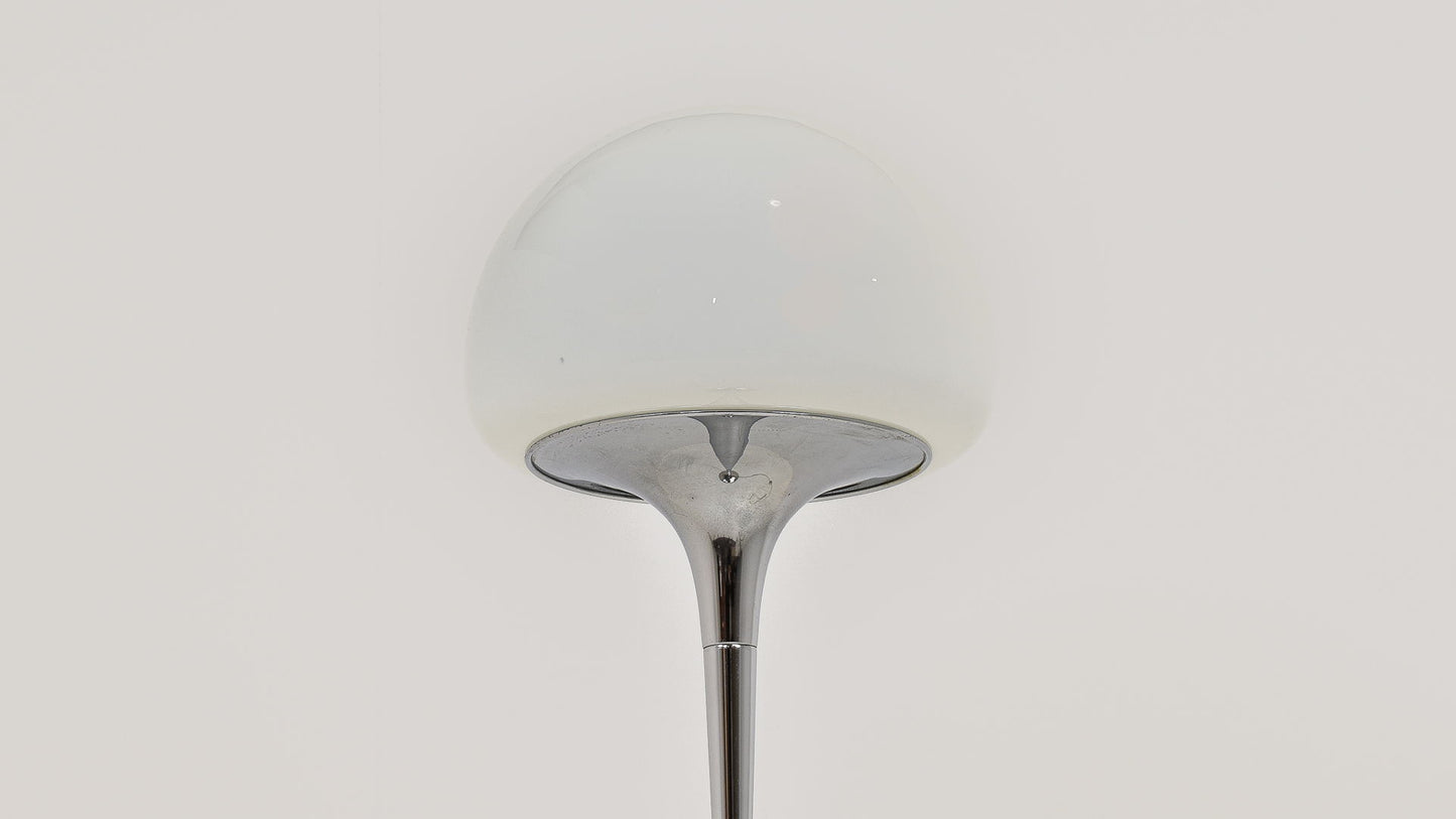 Goffredo Reggiani Floor Lamp in Chrome and Opaline Glass, Italy 1970s