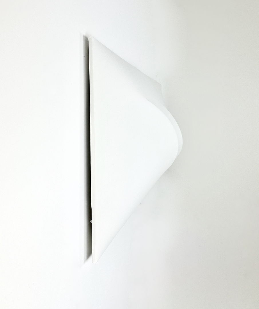 Large "Saori" wall lamp by Kazuhide Takahama for Sirrah, 1973